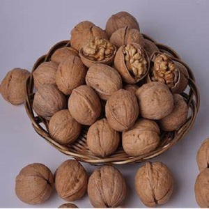 Granos de nogal Natural, frutos secos/nueces, listo para la exportación - Product Image 1