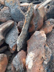 Est-Xporter-calaveras de hierro fe 90-92% C, accesorio para Xport - Product Image 4