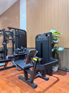 LAND FITNESS Pin Loaded Venda Quente Perna Curl & leg Extensão Ginásio Comercial Equipamento para Ginásio