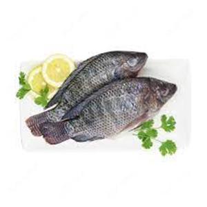 Tilapia congelada de grado A Proveedores internacionales Comprar tilapia congelada de grado A directa - Product Image 4