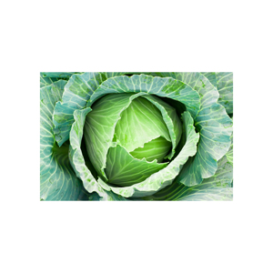 Chou vert frais de qualité supérieure/chou aux légumes frais - Product Image 3