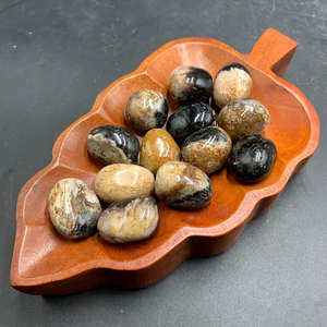 Piedra natural premium de raíz de palma con ojos – Cristal de madera fósil exótica de Indonesia con patrones oculares únicos (2–3 cm) - Product Image 2