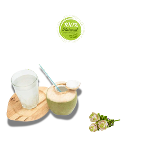 Noix de coco fraîche vietnamienne produit agricole naturellement rafraîchissant - Product Image 2