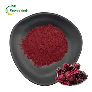 100% tự nhiên Hữu Cơ tinh khiết khô dâm bụt chiết xuất bột Hibiscus sabdariffa Roselle bột