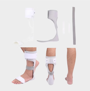 Stabilisation de la cheville chez les parrotias - Product Image 1