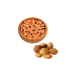 Apricot Kernel | Used in Capsules, Oils, and Herbal <b>Mixes</b> - Product Image 1