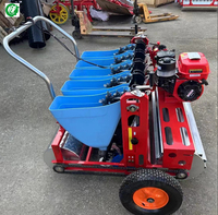 Semoir motorisé compact NH pour graines d'ail, à trois rangs, avec système de perçage et de pose des semis en hauteur, garantie 1 an, haute performance