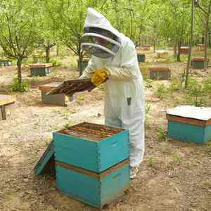 Fournitures d'usine costumes d'apiculture hommes vêtements à manches longues costumes d'apiculture de travail costumes d'apiculture - Product Image 1
