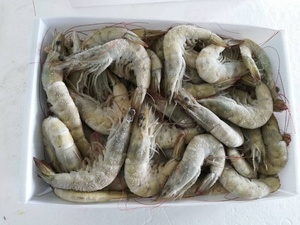 Meilleur prix d'usine, vente chaude, qualité supérieure / Abordables queues de homard congelées, emballage style FROZEN, en vente - Product Image 4