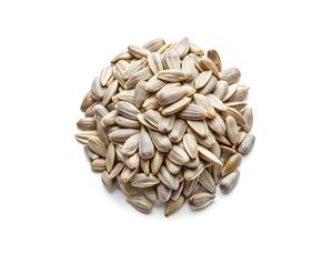 เมล็ดทานตะวันคุณภาพสูง - Product Image 5