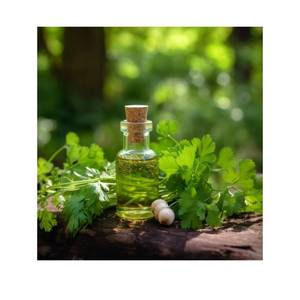 Aceite de Semilla de Perejil Prensado en Frío, Aceite Esencial 100% Puro para Aromaterapia, Venta al por Mayor - Product Image 5