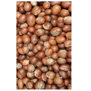 Nueces de karité crudas - Product Image 6