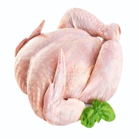 Vente en gros de pieds de poulet halal / pattes de poulet congelées du Brésil / ailes et pattes de poulet fraîches