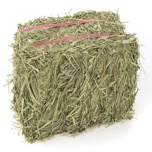 Pellets/cubos de heno de alfalfa Premium de alta calidad, Grado Alimenticio 100%, alto contenido en proteínas naturales, 2 años de vida útil, caballo, ganado, cerdo, pez, perro - Product Image 1