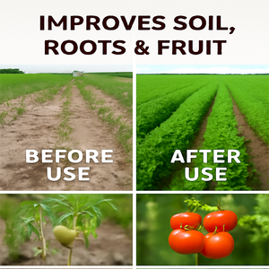 Engrais organique protéique plasmatique peptidique de crevettes | Acide aminé et astaxanthine Bio-Stimulant pour la floraison et la qualité des fruits - Product Image 4