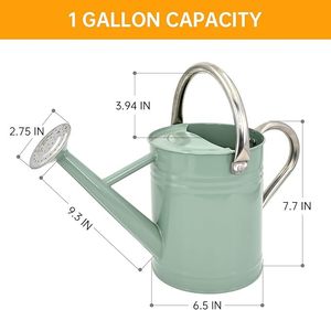 Arrosoir classique en métal, indispensable pour le jardin, arrosoir en métal robuste pour de belles fleurs - Product Image 2