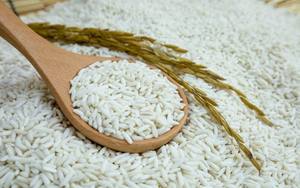 Vente en gros, couleur blanche, Type de culture commun, riz gluant à Grain Long, doux, Ms sofia - Product Image 3