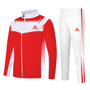 Trajes deportivos con logotipo personalizado para hombres, último diseño, chándales de 2 piezas, conjuntos de jogging de fitness informales de talla grande, venta al por mayor de invierno - Product Image 5