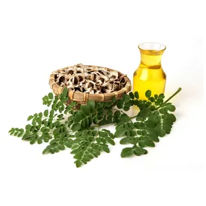 2022 Top Selling Best Quality Pure and Natural Moringa Cold Press Carrier Oil from Reputed Supplier at Bulk Price
