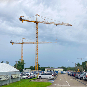 Grues à tour robustes de 3 tonnes avec boîte de vitesses et moteur à charge élevée Moment-Prix bon marché Expédition rapide Meilleures offres sur les commandes en gros - Product Image 2