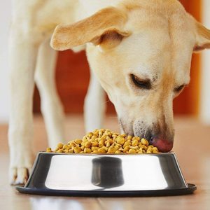 Offre Spéciale Haute Qualité Animaux Fournisseur En Acier Inoxydable Animaux Nourriture Bol Lent Empêcher Les Chiens De Chocking Sain Ralentir Manger Assiette - Product Image 1
