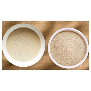 Nhà máy cung cấp men khô ngay lập tức hoạt động nhanh, để nướng, bánh mì, pizza, bánh ngọt, chất lượng xuất khẩu, cấp thực phẩm, chứng nhận HACCP - Product Image 3