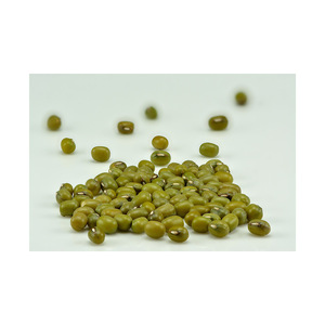 Haricots mungo de haute qualité, vente en gros, approvisionnement en vrac, légumineuses propres, directement de l'usine - Product Image 5