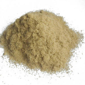 GROS TOP VENTES POUDRE DE BAMBOU QUALITÉ SUPÉRIEURE HOT DEAL PRODUIT BIOLOGIQUE FOURNISSEUR EN VRAC PRÊT À L'EMPLOI - Product Image 1