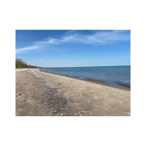 แผ่นไม้บีชยาวทนทานสำหรับการใช้งานที่หลากหลายในราคาที่สามารถแข่งขันได้ตามความต้องการของคุณ - Product Image 3