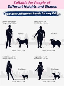 Correa para Perro Manos Libres Clásica de 3 Metros, con Correa Cruzada para la Cintura, Ajustable, con Mango Amortiguador de Impactos, Ligera - Product Image 2