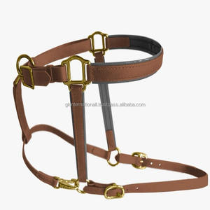 Dos de cheval en cuir rembourré double couture marron clair double couronne boucle en laiton bouton pression à la gorge épingle réglable licou personnalisé - Product Image 5