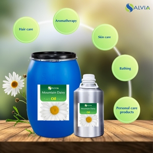 Vente en gros en vrac Huile essentielle de marguerite de montagne 100% pure et naturelle Emballage personnalisé à bas prix - Product Image 3