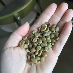 El mejor precio, producto agrícola Premium, granos de café verde suministrados por Bao Tram Anh Vietnam - Product Image 1