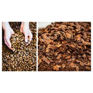 Coques de cacao de qualité supérieure et coques de cacao pures - Origine Royaume-Uni Service OEM/ODM Durée de conservation de 2 ans Bon prix - Product Image 3