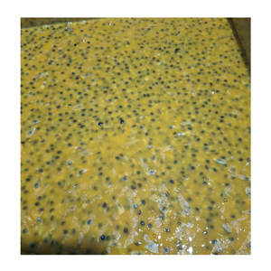 Rafraîchissez-vous avec le fruit de la passion congelé du Vietnam, un fruit de la passion congelé 100% naturel à la mode et facile à utiliser pour des boissons rafraîchissantes - Product Image 4