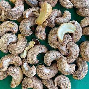 Fábrica directa Santigo Factory Vietnam W240 A180 W320 Anacardos orgánicos con embalaje personalizado - Product Image 1