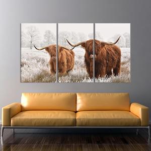 Impression sur toile de vache des Highlands : élégante décoration murale de style ferme, lot de 3 toiles - Product Image 1