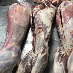 Viande halal surgelée fraîche, viande de bœuf (cuisse/cuisseuse) au prix de gros - Product Image 1