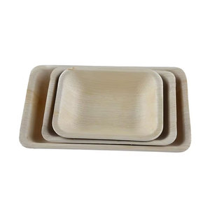 Plato de cena biodegradable Natural 100% bandejas rectangulares planas platos desechables de hoja de palma - Product Image 4