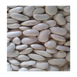 Vente en gros bon marché de haricots blancs de qualité supérieure en vrac Haricots blancs organiques à forte valeur ajoutée Blanc sec - Product Image 6