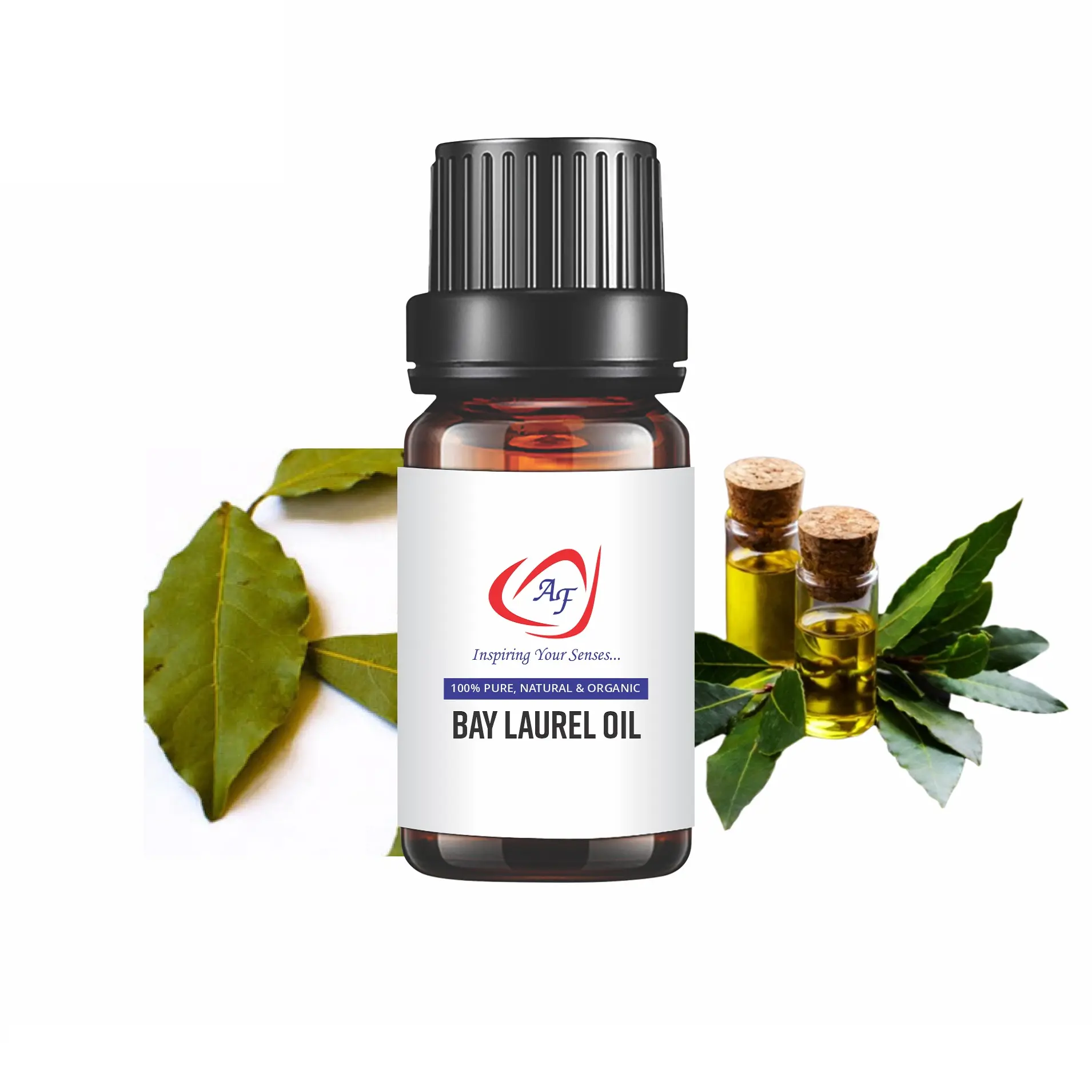 Laurier Olie 100% Pure Natuurlijke Etherische Olie