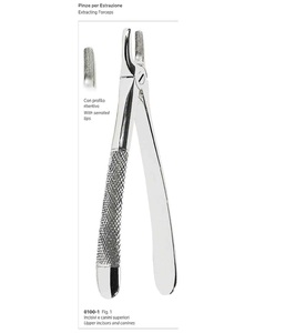 Tang pengekstrasi gigi lurus untuk gunting atas dan kaleng terbuat dari baja tahan karat berkualitas tinggi oleh peralatan manusia <span class=keywords><strong>pakistan</strong></span> - Product Image 1