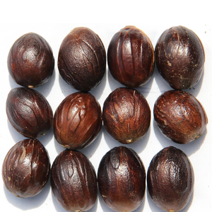 Authentique noix de muscade entière 100% biologique de qualité fraîche muscade moulue de qualité supérieure noix de muscade crue naturelle avec coque séchée et parfaite - Product Image 5