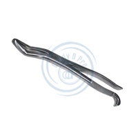 Pince d'extraction de dents de loup vétérinaire fabriquée à la main en acier inoxydable dentaire équin Instruments de haute qualité réutilisables classe I CE