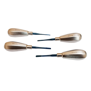 Ensemble de 4 éleveurs dentaires droits - Instruments d'extraction dentaire en acier inoxydable de qualité supérieure pour la chirurgie buccale - Product Image 2