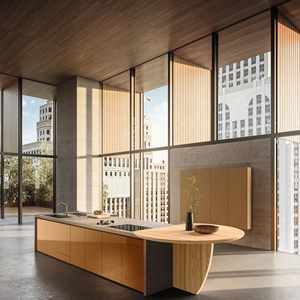 Juego de Gabinetes de Cocina de Madera Personalizados al por Mayor de JY Project, Gabinetes de Cocina Estilo Shaker RTA, Gabinetes de Cocina Modernos, Juego Completo - Product Image 3