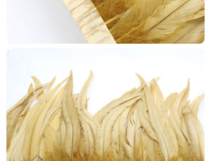 20-25CM une variété <span class=keywords><strong>de</strong></span> couleurs dépouillé queue <span class=keywords><strong>de</strong></span> <span class=keywords><strong>coq</strong></span> plumes <span class=keywords><strong>cheveux</strong></span> tissu bord Performance costume - Product Image 3