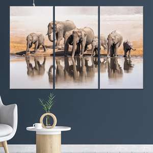 Lienzo Decorativo con Diseño de Elefantes: Elegante Decoración Safari para el Hogar y Regalo, Lienzo Enrollado en 3 Paneles - Product Image 1