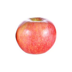 Pomme Fuji rouge emballée, fraîche, sucrée, organique, croustillante, propre, exportation en vrac, fournisseur juteux de qualité agricole et naturelle - Product Image 4