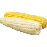 High Quality Fresh Feed Corn COB Meal for Aquaculture - China Corn COB for  Blasting, Corn COB Grit